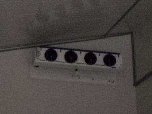 Hang-in-inside-scaled-new