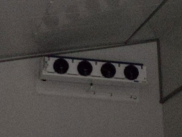 Hang-in-inside-scaled-new