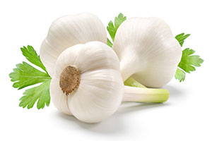 garlic-300,200